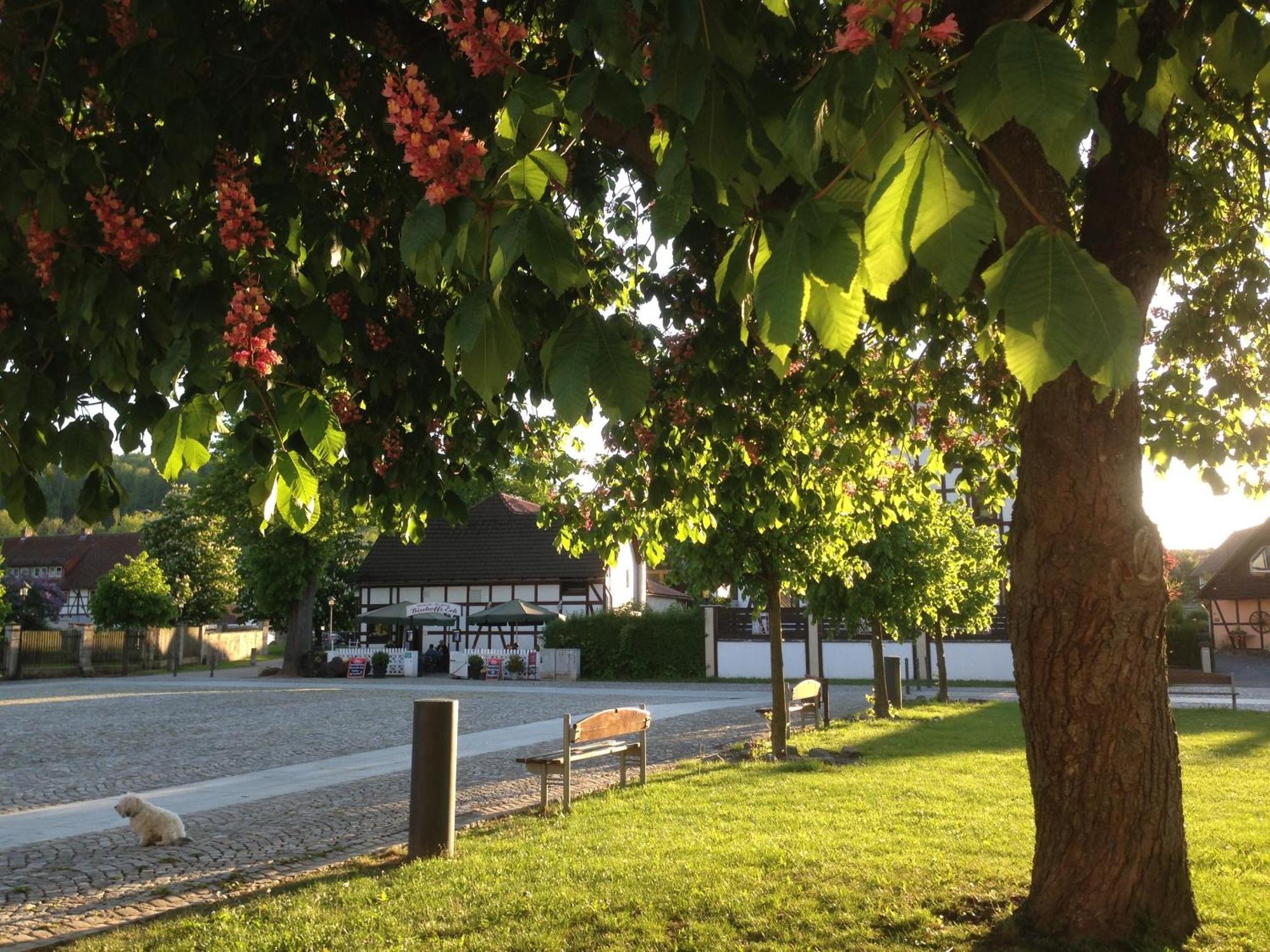 Klosterhotel Walkenried מראה חיצוני תמונה
